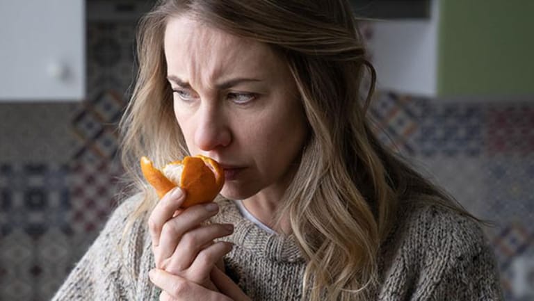 Why Do Covid Patients Lose Their Sense of Smell?