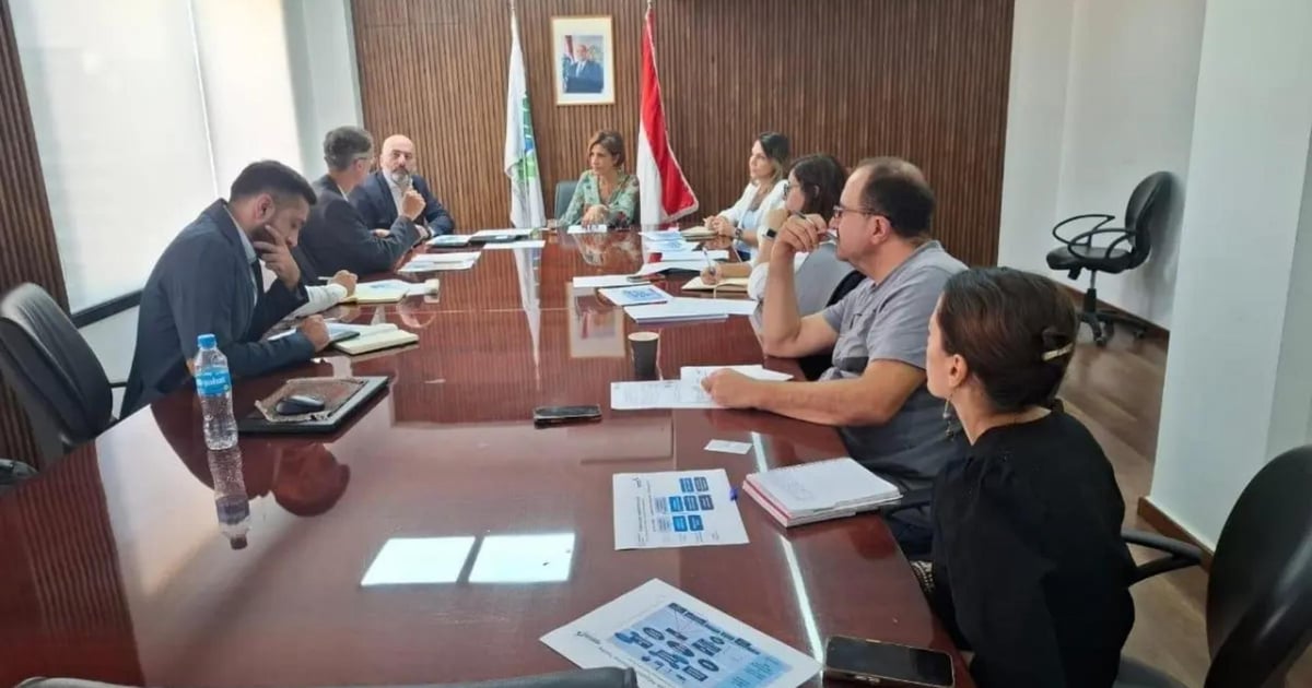 Environment Minister Launches National Carbon Market Roadmap