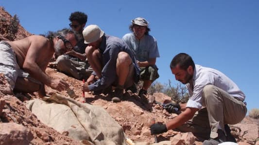 Remains of Small Armor-Plated Dinosaur Unearthed in Argentina