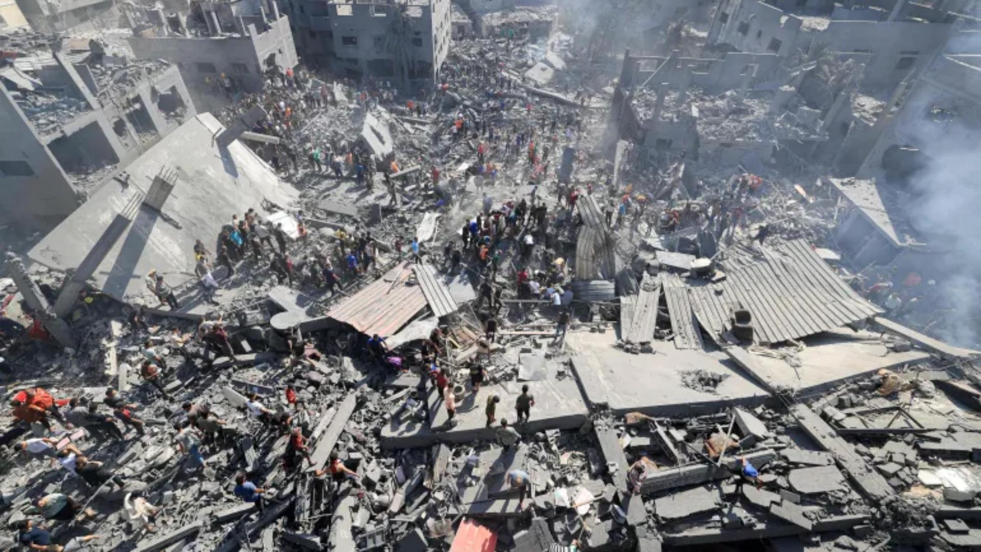 Main Highlight Image