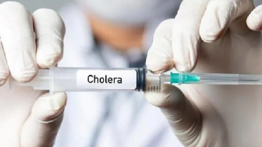 MoPH: 2 new cholera cases in Lebanon today