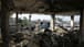 "الأونروا": نحو 110 آلاف شخص فرّوا من رفح نتيجة القصف الإسرائيلي