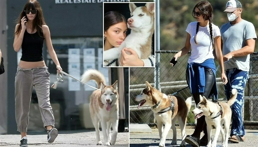 ليوناردو دي كابريو يتنزه مع حبيبته السابقة... هل عاد إليها؟