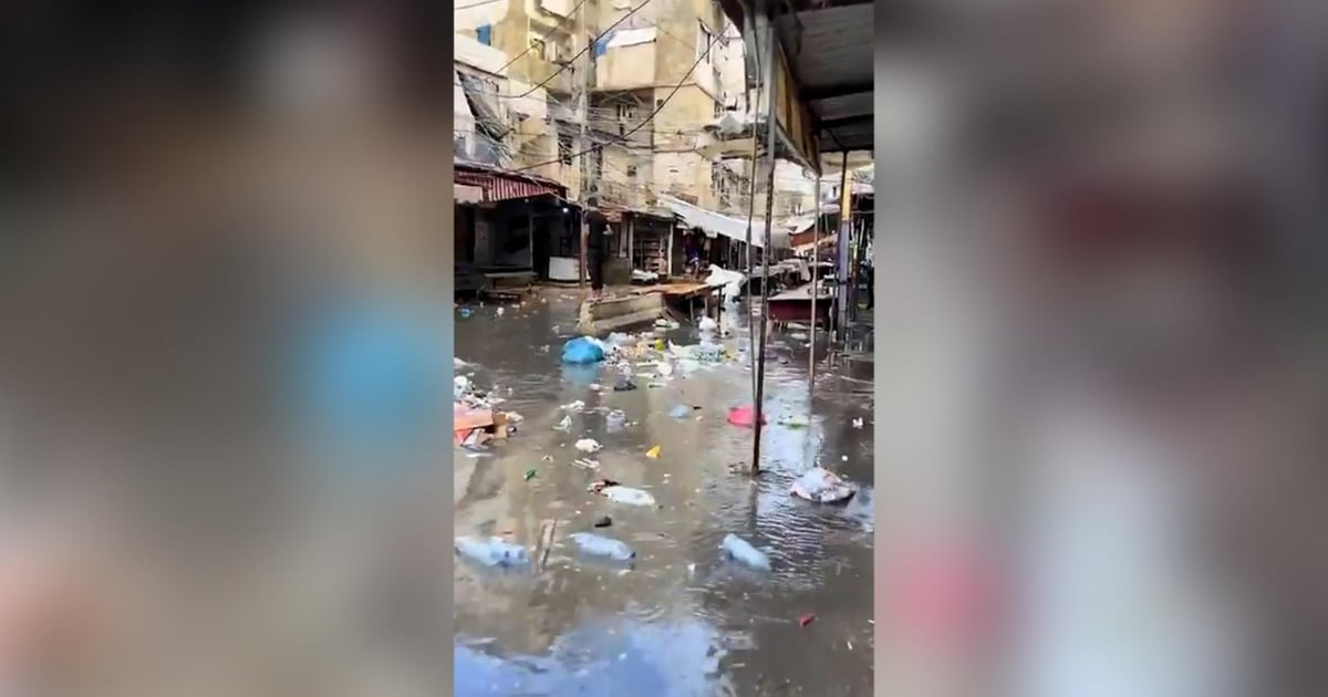 صورة الخبر