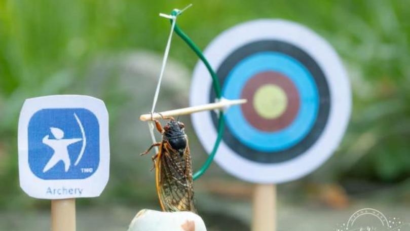 Photos: Cicadas Make Their Olympic Debut in Miniature Art Scenes
