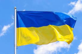 Ukraine forces ordered to retreat from Severodonetsk: governor