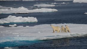 Arctic Sea Ice Hits Lowest Peak In 47-Year Satellite Record