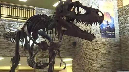 Gorgosaurus Tipped to Fetch $8 Million at New York Auction