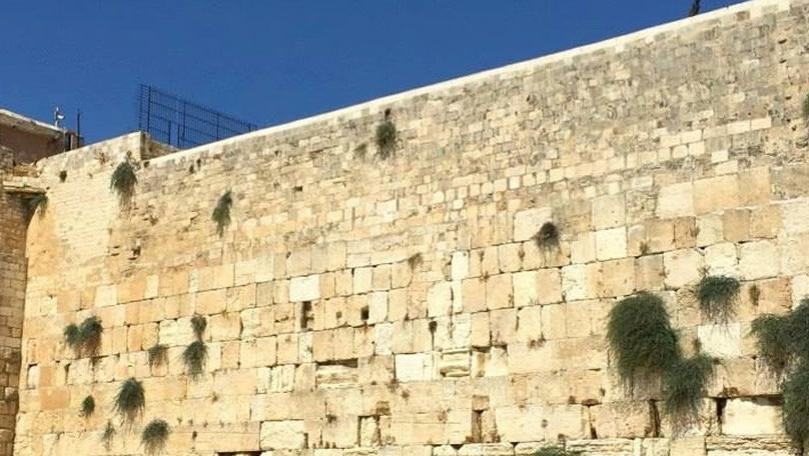 AFP: Jerusalem's Western Wall evacuated amid clashes, according to police