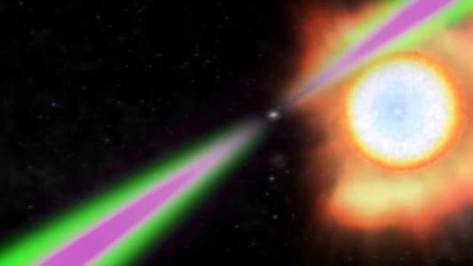 Gluttonous Cosmic 'Black Widow' Is Heaviest-Known Neutron Star