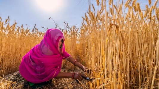 Early summer could spell trouble for India's farms and factories