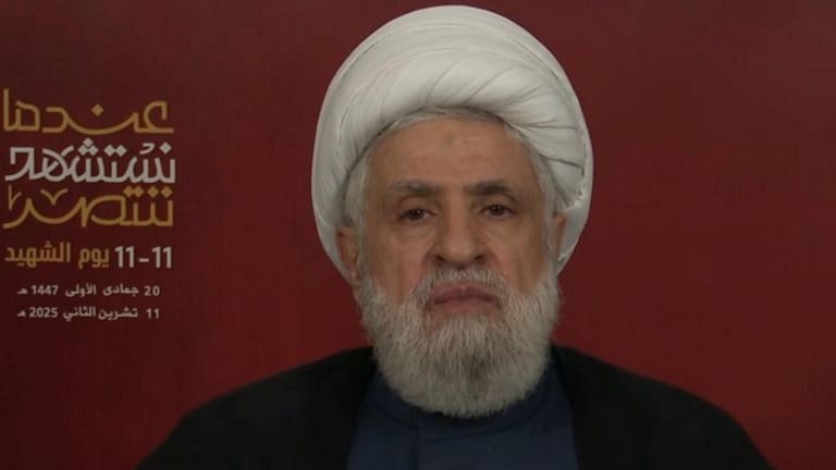 "لن نتخلّى عن سلاحنا"... قاسم: لكلّ شيءٍ حدّ!