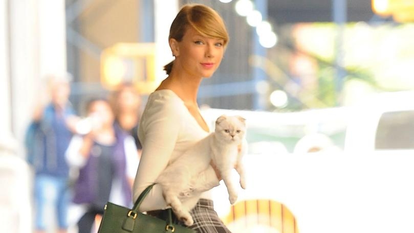 Taylor Swift’s Cat Is Reportedly the Third-Richest Pet in the World