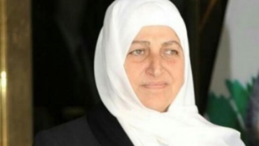 بهية الحريري تواصل مواكبة مستجدات كورونا والتحضير لمرحلة اللقاح