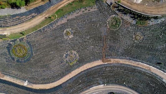 Van Gogh's Starry Night Recreated As Park in Bosnian Hills