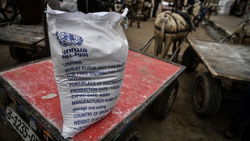 Austria to unblock funds for UN Palestinian relief organisation