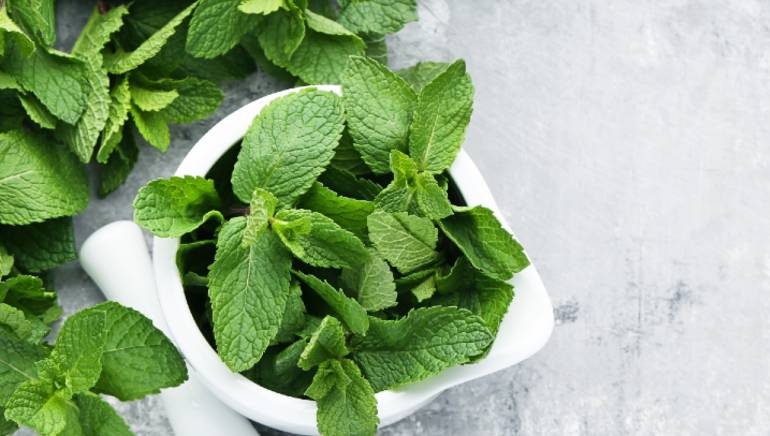 8 Powerful Health Benefits of Mint