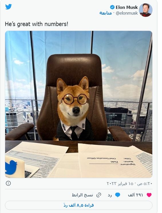 إيلون ماسك يعين كلبًا رئيسًا تنفيذيًا لـ "تويتر"