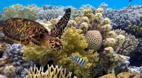 Marine Heatwaves Last Longer in Deeper Water
