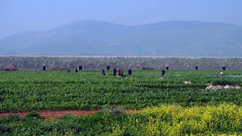 Pakistani family of five killed in Jordan farm fire