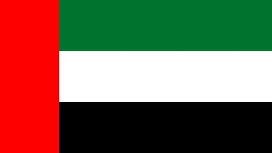 الجمعية العامة للأمم المتحدة تنتخب دولة الإمارات عضواً غير دائم في مجلس الأمن