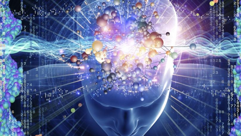 Modern Brains Evolved Much More Recently Than Thought, According to Study