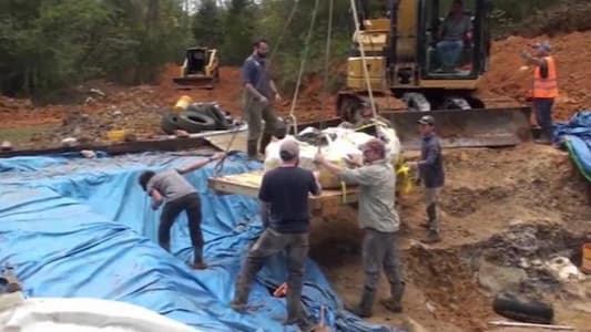 Remains of 30ft Duck-Billed Dinosaur Unearthed in Missouri