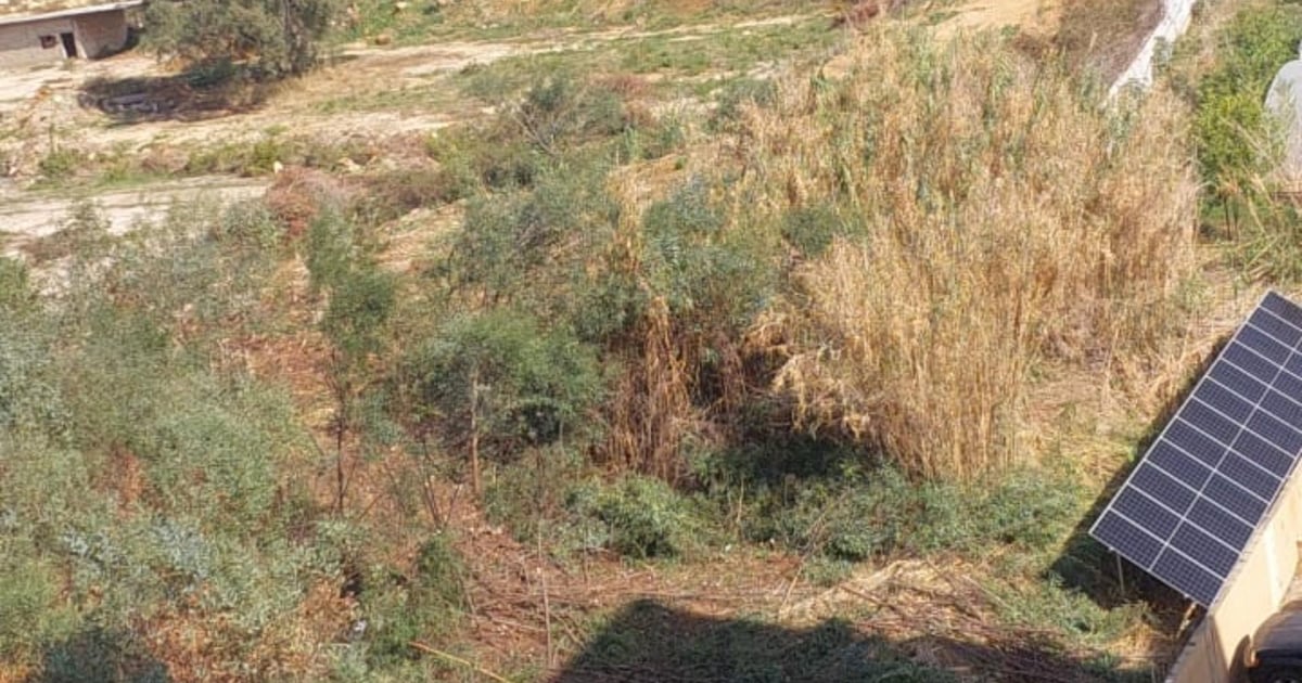 In pictures: What is happening in Hadath – Kafaat?