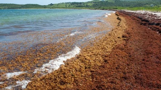 The Only Sea on Earth Not Bounded by Land