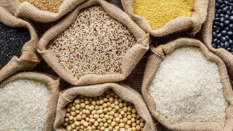 Food Prices Likely to Fall Over Next Decade, UN Report Finds