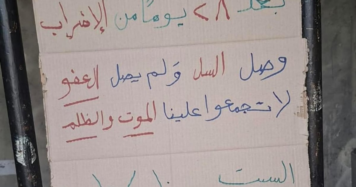 صورة الخبر