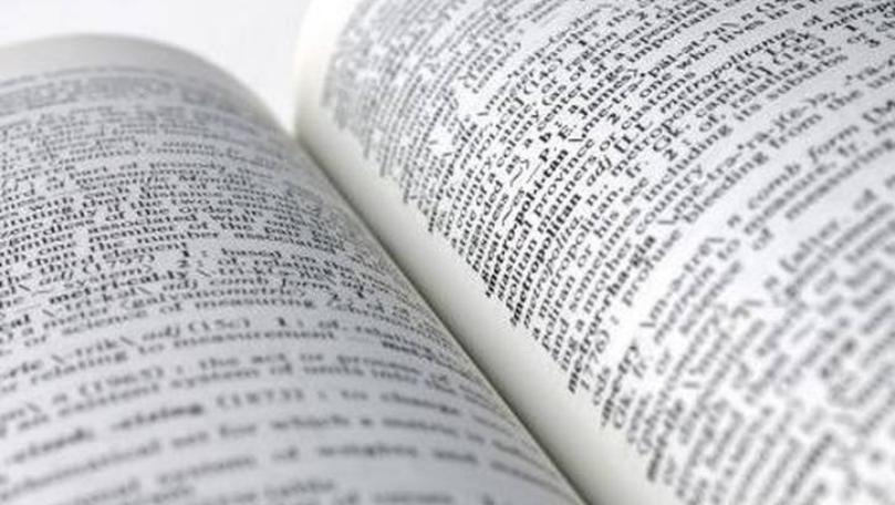 Main Highlight Image