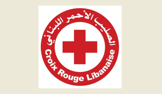 Red Cross transfers bodies of two martyrs, 6 injured from Yaroun vicinity