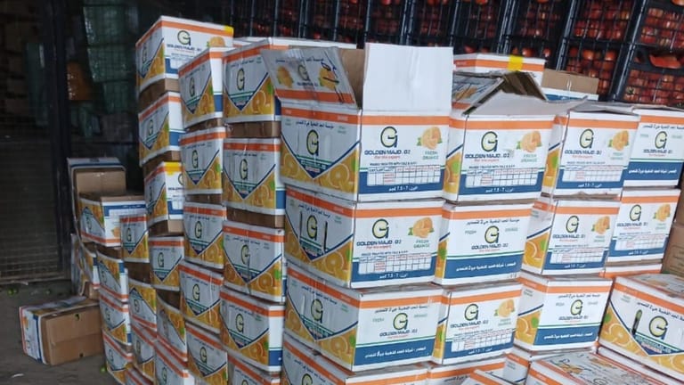 ضبط كميات كبيرة من المنتجات الزراعيّة المهرّبة