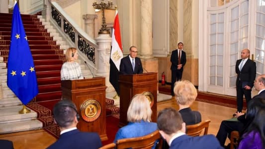 وزير الخارجيّة المصريّة: لضرورة وقف النار في غزّة ولبنان