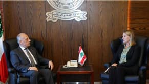 Defense Minister meets Norwegian Ambassador