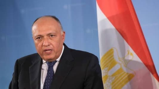 The Egyptian Foreign Minister calls for pressure on the Israeli government to fully implement the UN Security Council resolutions to stop the war in Gaza and allow the entry of humanitarian aid