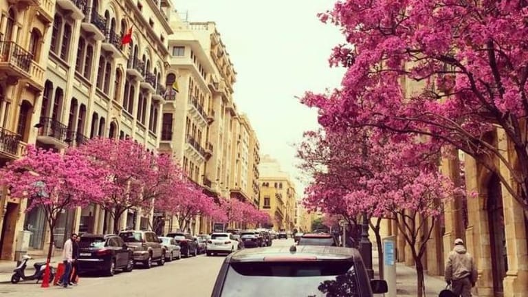 الطقس الربيعي يرافقنا... والحرارة دون معدّلاتها