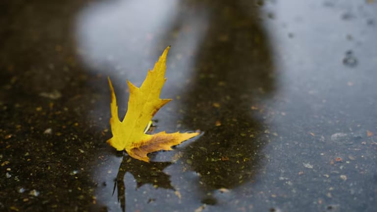 التقلّب بالطّقس بدأ: الحرارة "نزول" وأمطار متفرّقة