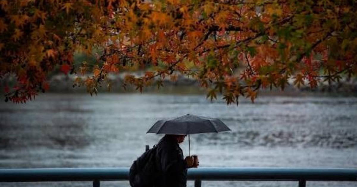 October’s Final Days Bring Rain, Fog and Thunderstorms! - MTV Lebanon