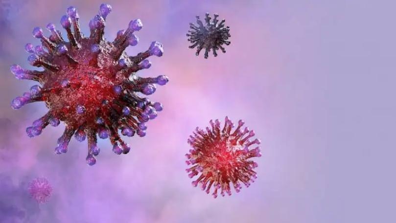 Delta COVID Variant Becoming Globally Dominant, WHO Official Says