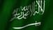 Saudi Arabia urges end to Gaza aggression