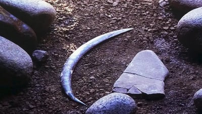 World's Oldest Boomerang Doesn't Actually Come Back