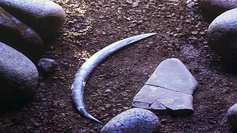 World's Oldest Boomerang Doesn't Actually Come Back