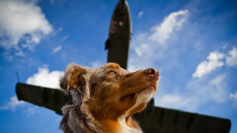 Main Highlight Image