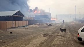 بالفيديو: النيران تلتهم الغابات