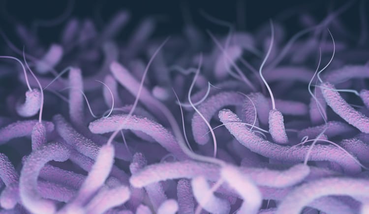 MoPH: 2 new Cholera cases, no deaths in past 24 hours