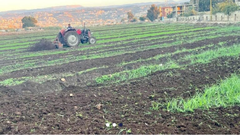 مياه المجارير على موائد اللبنانيين