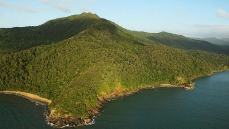 World’s Oldest Tropical Rainforest Handed Back to Aboriginal Owners in Historic Deal