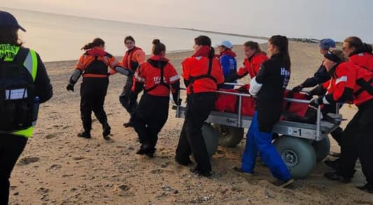 Experts rescue and release 2 dolphins in dangerously shallow waters